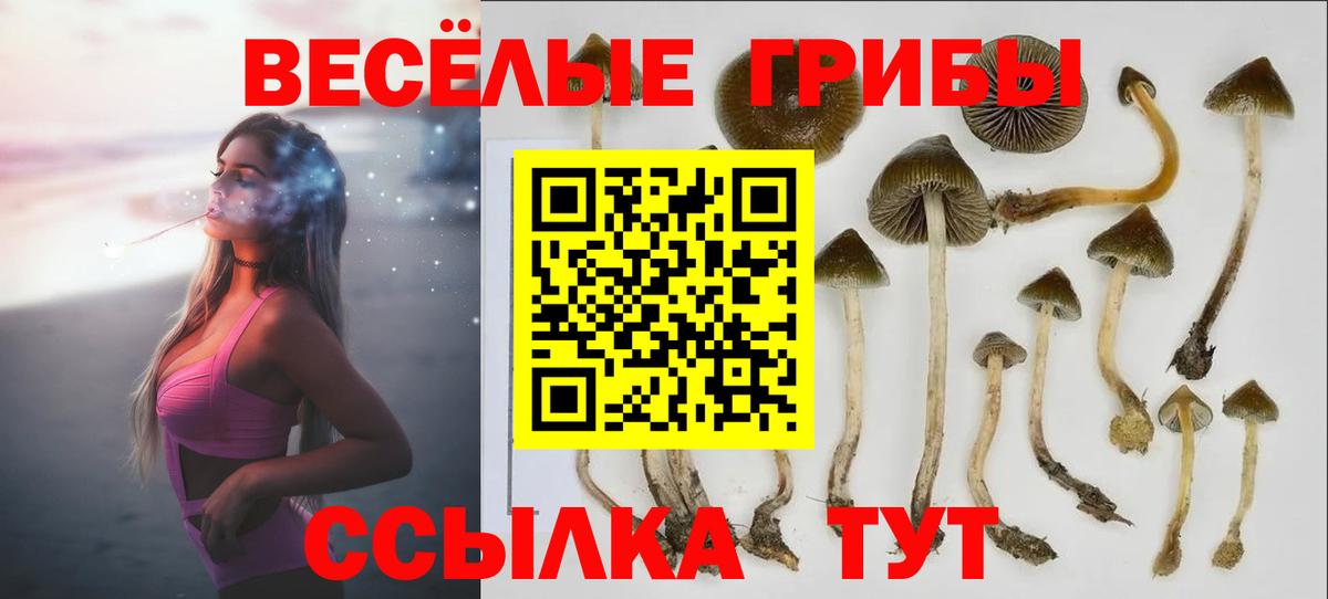 как найти закладки  Вход с VPN  Норильск  Галлюциногенные грибы Psilocybe 